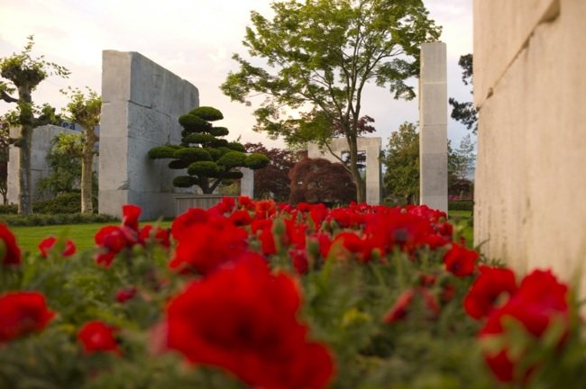 Specii de arbori Flower Park Elveția Repere Flower Park Elveția