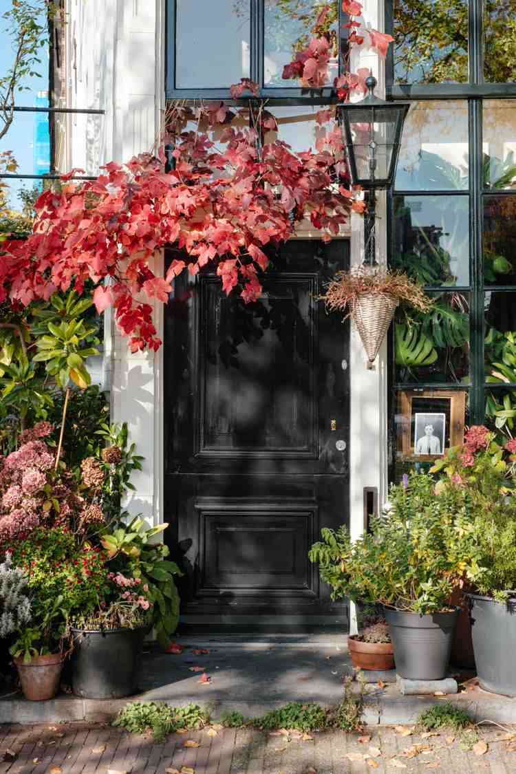 Iarnați jardiniere la pragul toamnei