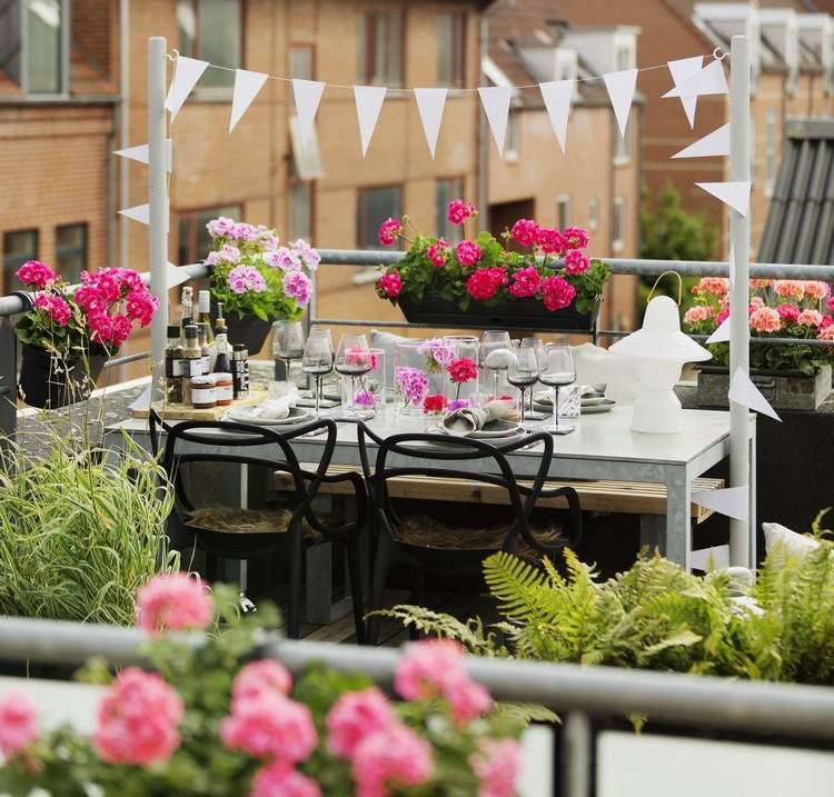 Ierani în cutii de ferestre Idei pentru florile de vară și când este momentul potrivit pentru plantare