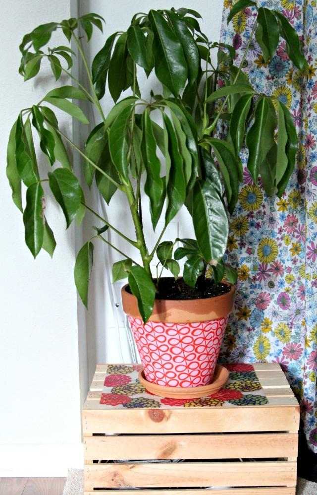 Clay pot țesătură decoupage palmier decora ideea decora țesătura de lut decupaj palmier