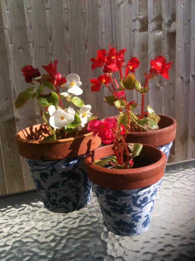 ghivece de flori idei model floral albastru alb ghivece de flori decora idei model floral albastru alb