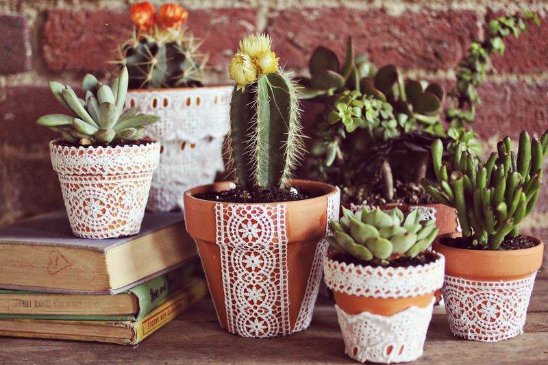 Ghivece de flori DIY ghivece de lut decoratiuni din dantela suculente cactusi