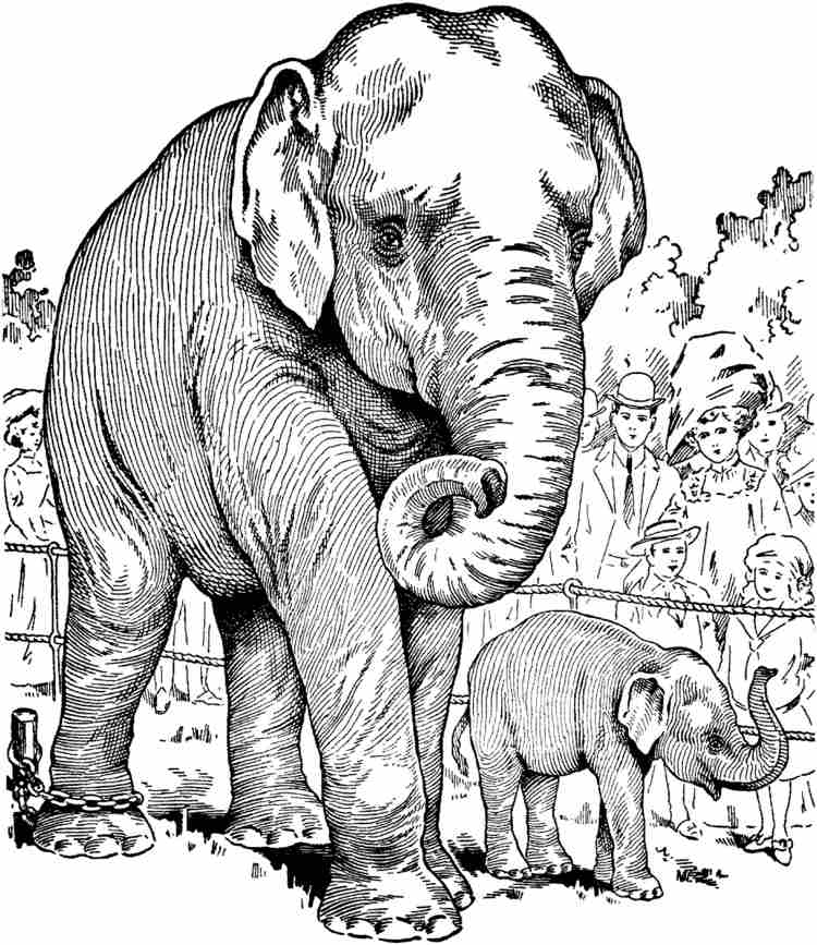 Șablon pirografie elefant în grădina zoologică pirografie-șabloane-animale-motiv-grădină zoologică-elefant-vizitator-contururi-linii-de-branding
