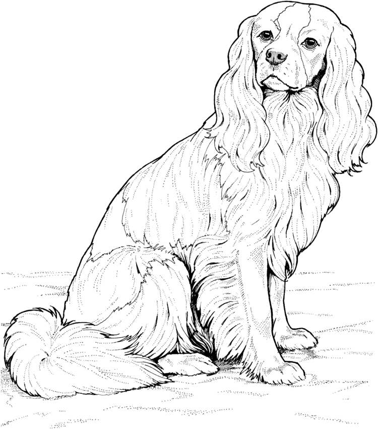 Șablon de pirografie cu un câine drăguț șabloane-pirografie-câine-free-golden-retriever-branding-transfer-motiv