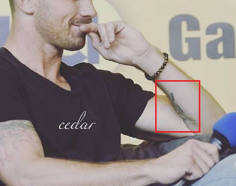 Tetovaža podlakti-Cam Gigandet