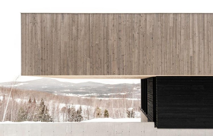 acoperiș de lemn contrastat netratat