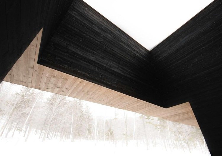 Fațadă contrastată cu lemn carbonizat și netratat