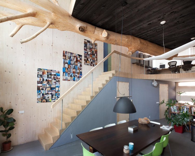 lemn carbonizat tavan interior arborele trunchi de copac