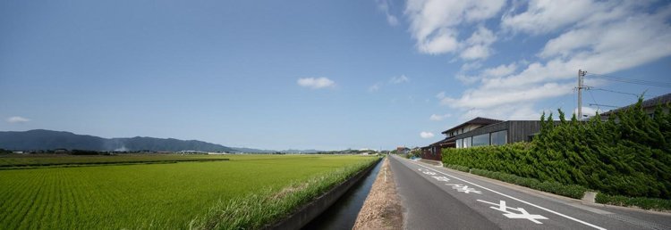 Gardul de confidențialitate al câmpurilor verzi