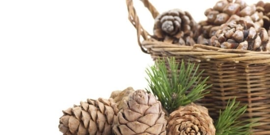 Placemat artizanat idei con decorare toamna Placemat decorare artizanat idei con decorare toamna