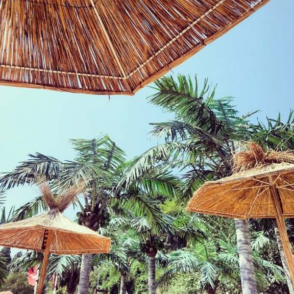 Umbrele-umbrele de paie-exotice-fler de vacanta