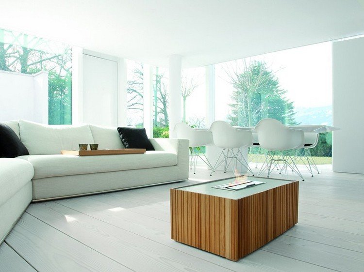 semineu-modern-bioetanol-lemn-deschis-cu-flacara-living-AXIS-CALEIDO-Co-Ge-Fin