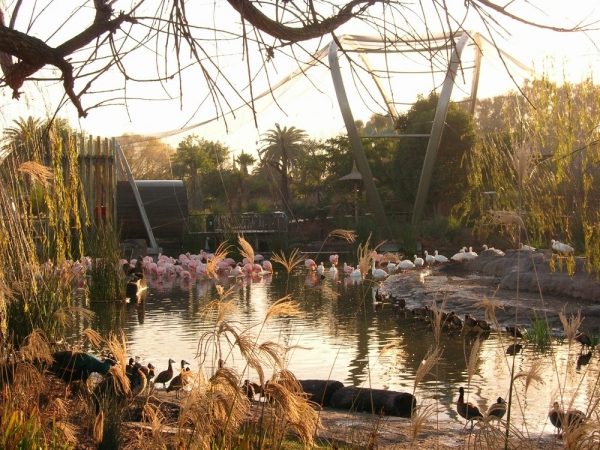 bioparc în Argentina cu flamingo de design modern