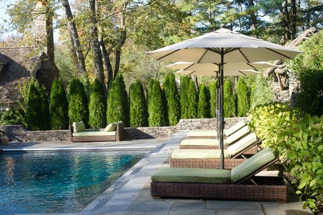 Protecția confidențialității plante de gard viu șezlonguri pentru piscină Arborvitae thuja gard viu intimitate protecție plante gard viu piscină șezlonguri Arborvitae thuja