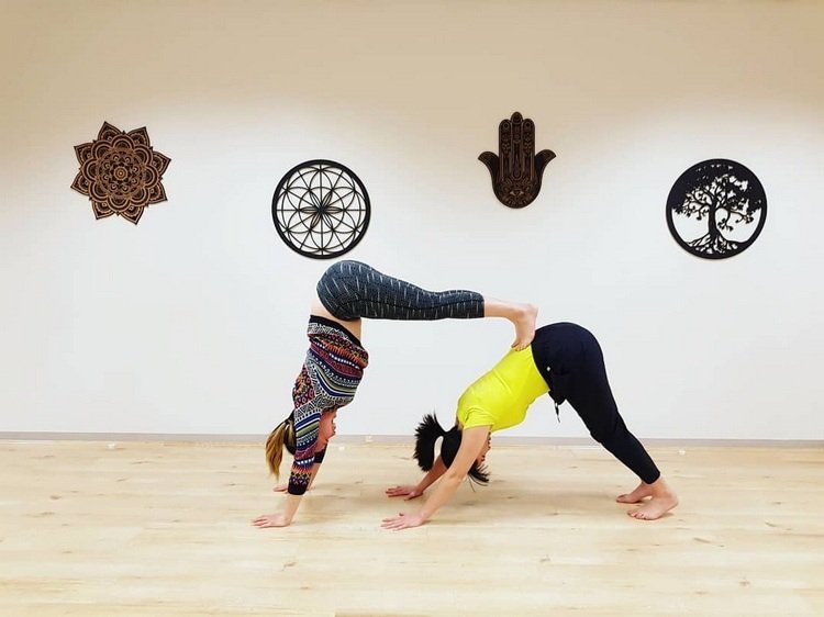 Poza de yoga pentru câini care privește în jos pentru doi