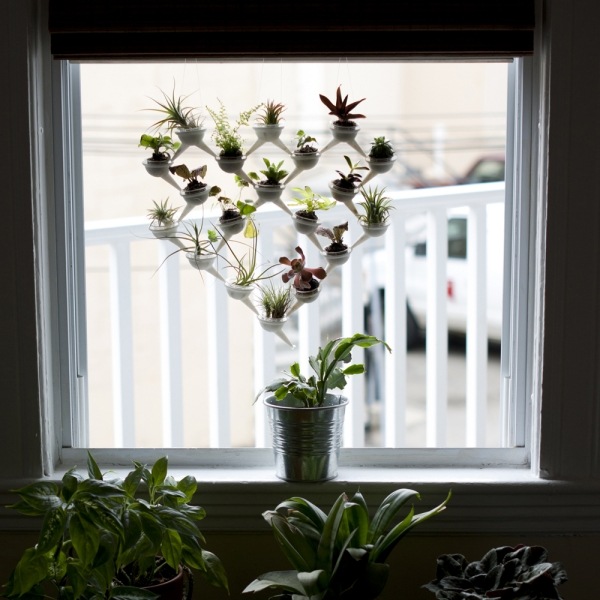 Sistemul de plantare mini Apeduct este un design gant