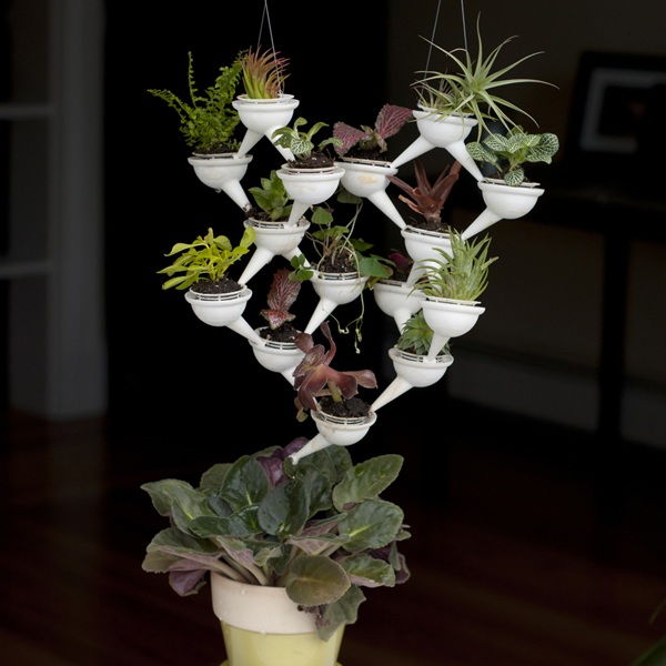 Sistemul de apeduct, plantatoare de plastic evan gant