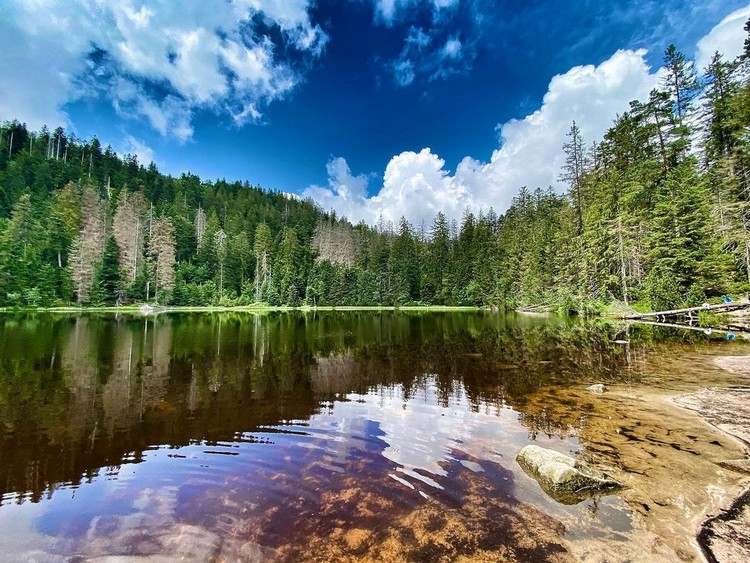 Vacanță în Germania în atracțiile parcului natural Pădurea Neagră