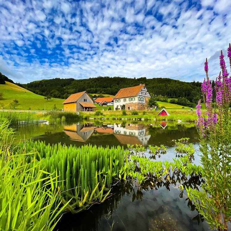 Muzeul în aer liber al Pădurii Negre cele mai frumoase locuri din Pădurea Neagră