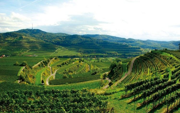 Badische Weinstrasse Sfaturi Vacanță în Pădurea Neagră Obiective turistice