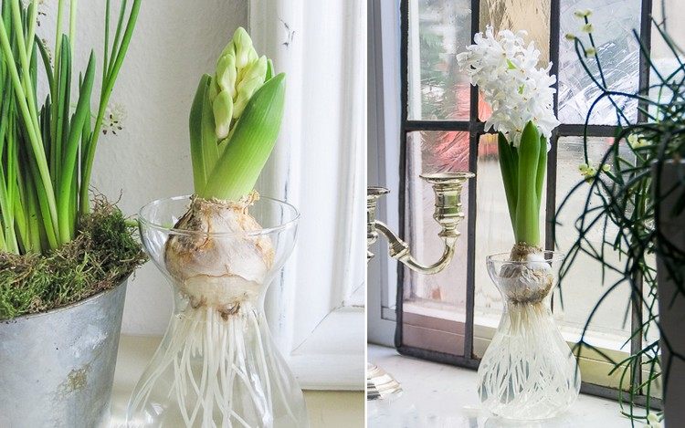 Decorarea ferestrei de primăvară cu zambile în apă