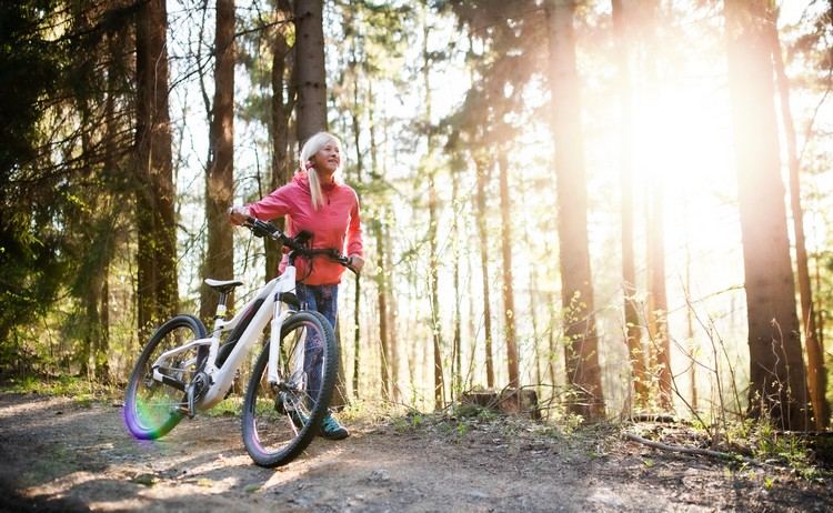 Cumpărați sfaturi pentru biciclete electrice Baterie pentru biciclete montane