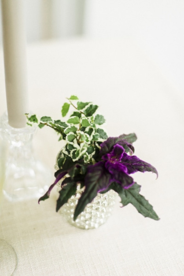 Puteți combina vaze mici cu piese centrale mari vază de sticlă-compoziție-plină de viață-plante-violet
