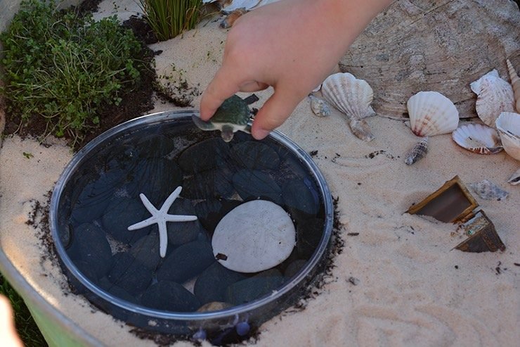 mini-grădină-iaz-negru-pietriș