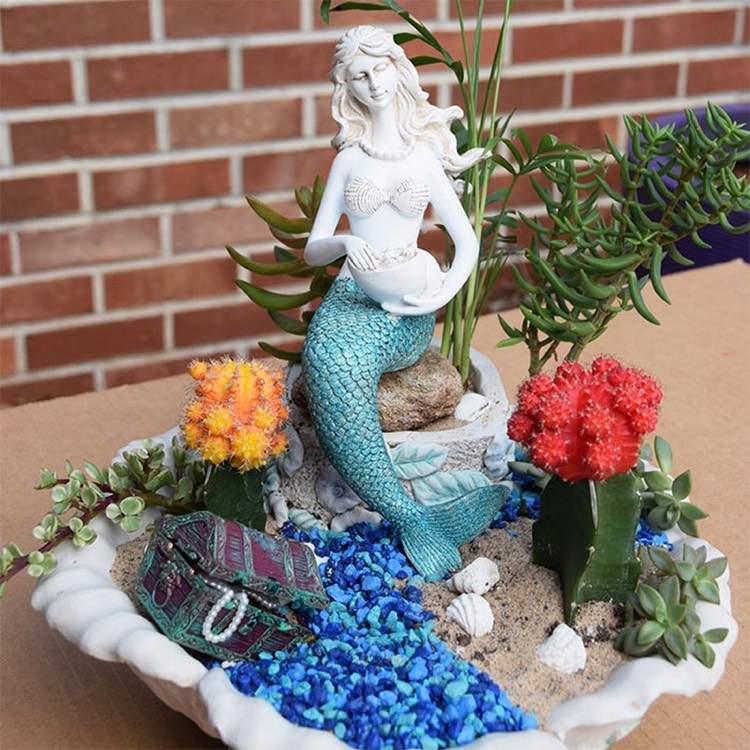 mini-grădină-sirenă-scoică-plante-cactus