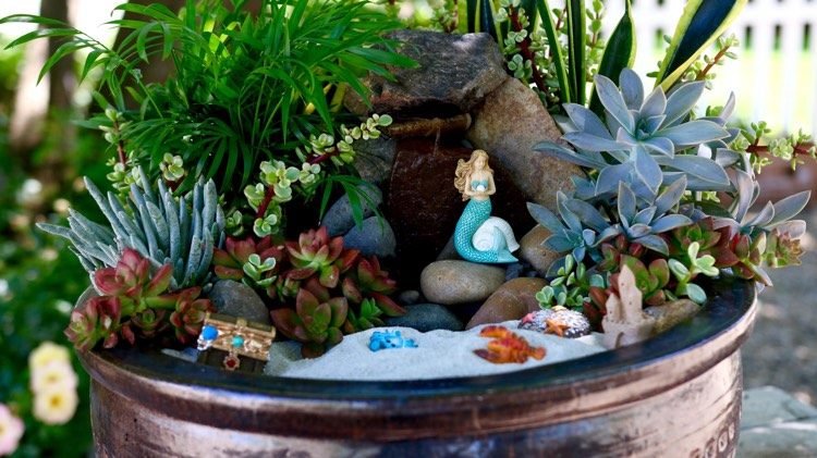 mini-grădină-sirenă-sedum-găini-nisip-pietre-pietre