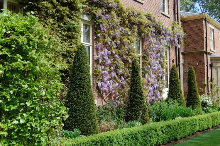 Idei-design-plante-de-pat-grădină-gard-bușteni