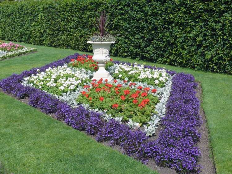 Plante tăiate-idei-design-grădină-lobelii