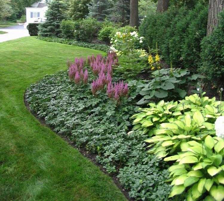 Lenjerie de pat-margini-plante-design-idei-așternut-gazon-Pachysandra