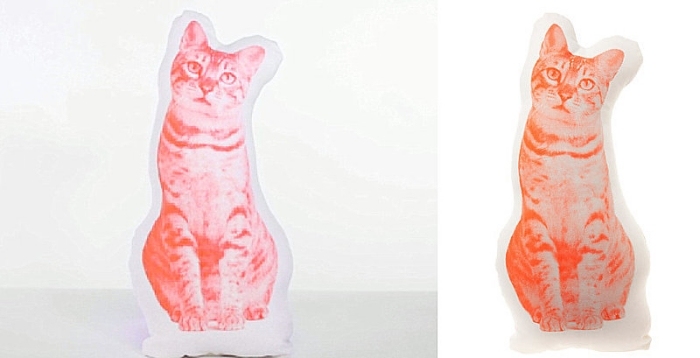 Pisica Tabby ca motiv pe decorul de culoare pernă-neon de Ross Menuez tabby-cat-perna-design-neon-culoare-camera-deco-copii-Ross-Menuez