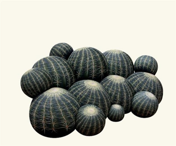 design canapea cactus pentru distracție și confort în mobilierul din sufragerie