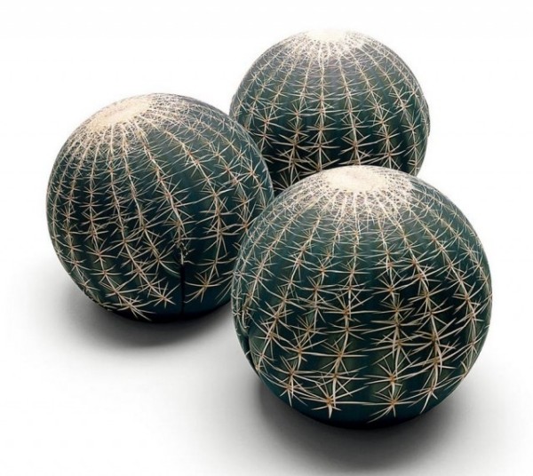 canapea cactus distracție și confort în scaunul din living