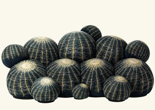 design canapea cactus pentru distracție și confort în fața camerei de zi