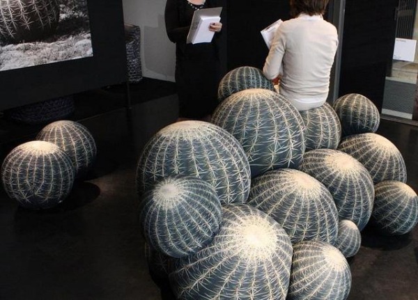 canapea cactus pentru distracție și confort în camera de zi confortabil
