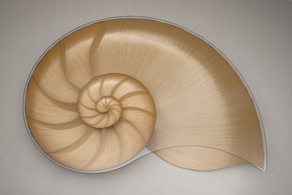 forma de masă de designer nautilus văzută de sus masă de designer cu formă de nautilus văzută de sus
