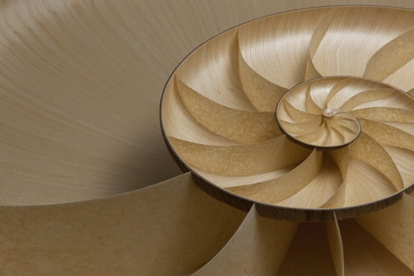designul mesei forma nautilus design transparent design de masă cu formă transparentă nautilus
