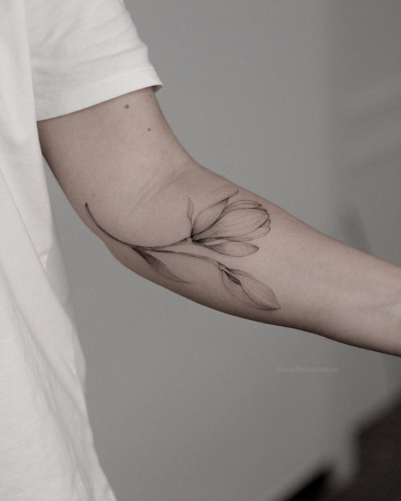 Magnolijos tatuiruotė 2