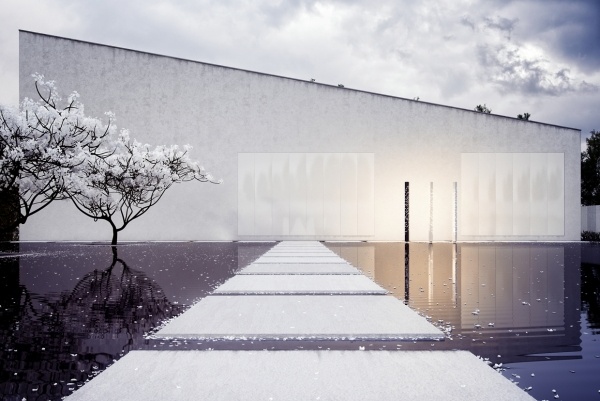 Aripa de design grafic 3D House Nowak Design grafic 3d aripa cub Casa Nowak