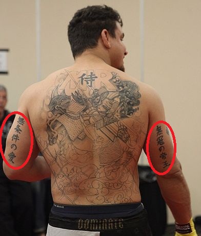 Frank Mir Triceps