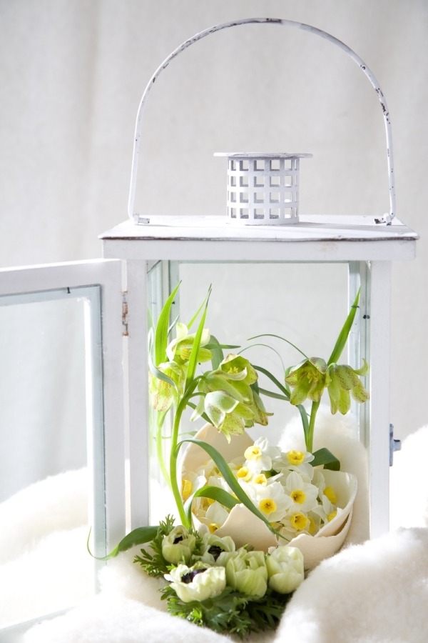 Idei de decorare primăvară felinar cochilii de ou flori Idei de decorare primăvară felinar cochilii de ou flori