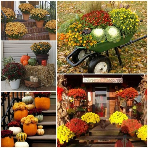 Intrare pridvor-Decorațiuni de toamnă-Flori Verandă-Intrare-Toamnă-Decorațiuni-Flori