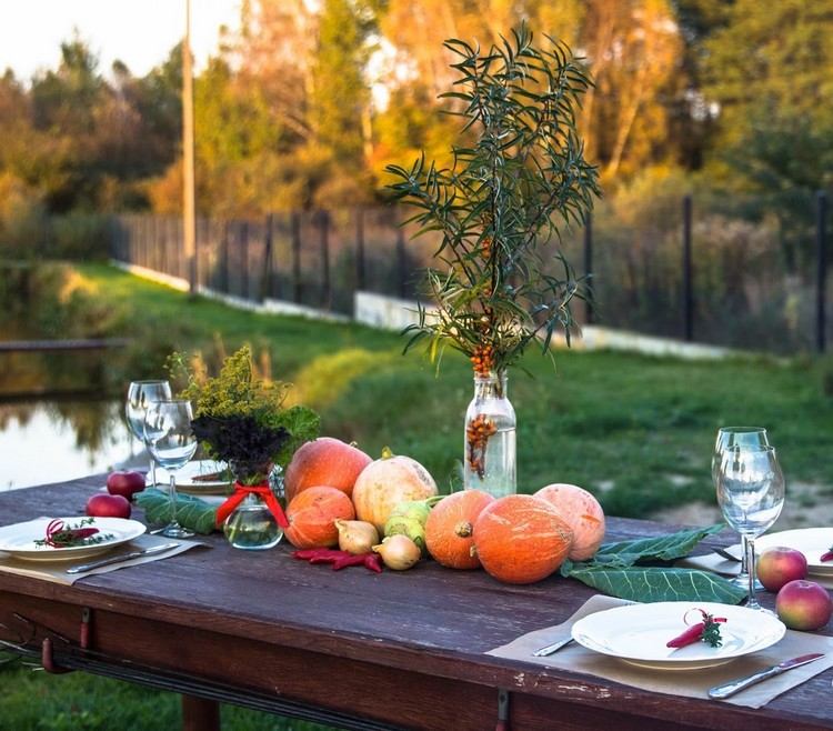 Petrecere în grădină toamna - decorațiuni de masă cu dovleci Idei de decor de toamnă decor de masă-bordură-varză-vaze-crenguțe-farfurie ardei gras