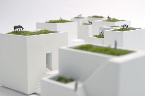 design minimalist gradina zen
