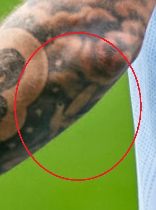 Fiodoro skraidantis balandžių paukštis ir debesys