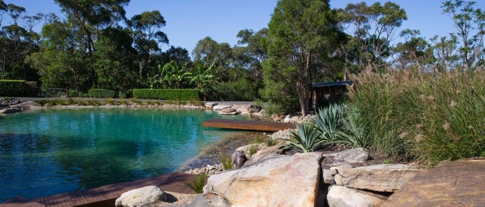 design gradina iarba pietre piscina turcoaz