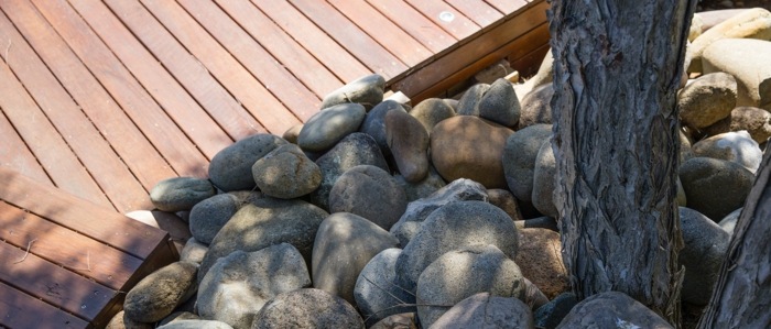 design peisaj pietricele copac gradina idee forma